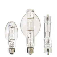 Metal Halide Lamp