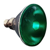 PAR Colored Lamp